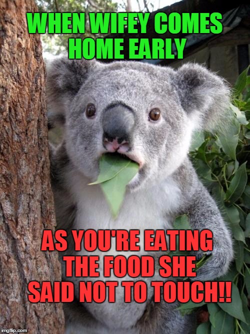 Oh no,  I'm SCREWED! |  WHEN WIFEY COMES HOME EARLY; AS YOU'RE EATING THE FOOD SHE SAID NOT TO TOUCH!! | image tagged in memes,surprised koala | made w/ Imgflip meme maker