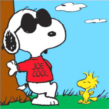 High Quality Snoopy Joe Cool Blank Meme Template