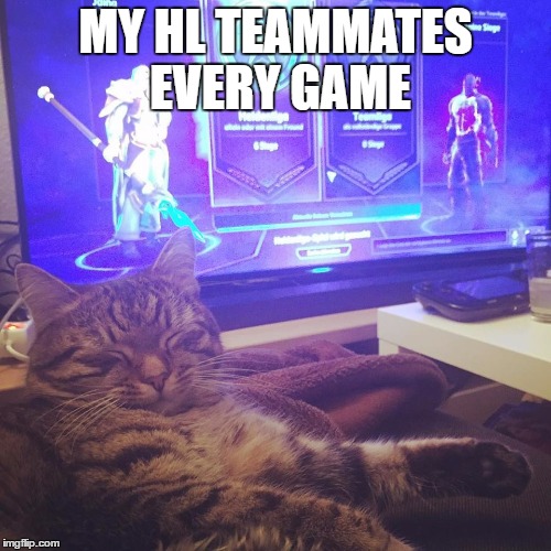 MY HL TEAMMATES EVERY GAME | image tagged in cat | made w/ Imgflip meme maker