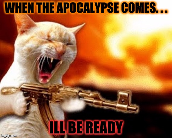 machine gun cat |  WHEN THE APOCALYPSE COMES. . . ILL BE READY | image tagged in machine gun cat | made w/ Imgflip meme maker
