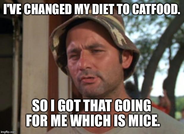 So I Got That Goin For Me Which Is Nice Meme | I'VE CHANGED MY DIET TO CATFOOD. SO I GOT THAT GOING FOR ME WHICH IS MICE. | image tagged in memes,so i got that goin for me which is nice | made w/ Imgflip meme maker