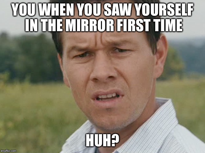 Huh  | YOU WHEN YOU SAW YOURSELF IN THE MIRROR FIRST TIME; HUH? | image tagged in huh | made w/ Imgflip meme maker