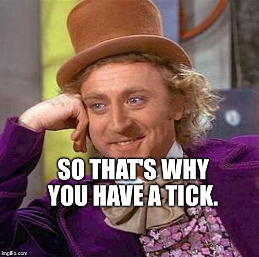 Creepy Condescending Wonka Meme | SO THAT'S WHY YOU HAVE A TICK. | image tagged in memes,creepy condescending wonka | made w/ Imgflip meme maker