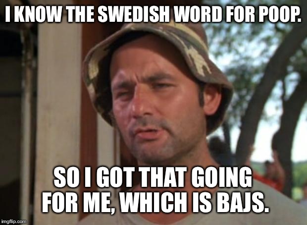 So I Got That Goin For Me Which Is Nice | I KNOW THE SWEDISH WORD FOR POOP. SO I GOT THAT GOING FOR ME, WHICH IS BAJS. | image tagged in memes,so i got that goin for me which is nice | made w/ Imgflip meme maker