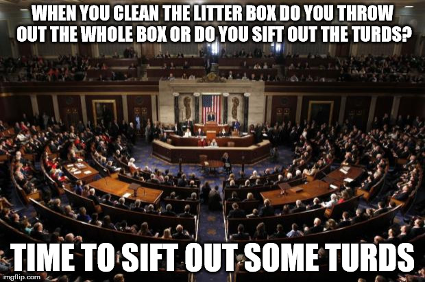 congress | WHEN YOU CLEAN THE LITTER BOX DO YOU THROW OUT THE WHOLE BOX OR DO YOU SIFT OUT THE TURDS? TIME TO SIFT OUT SOME TURDS | image tagged in congress | made w/ Imgflip meme maker