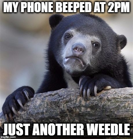 Confession Bear | MY PHONE BEEPED AT 2PM; JUST ANOTHER WEEDLE | image tagged in memes,confession bear,pokemon go | made w/ Imgflip meme maker