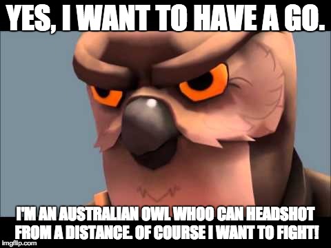 Owl sniper | YES, I WANT TO HAVE A GO. I'M AN AUSTRALIAN OWL WHOO CAN HEADSHOT FROM A DISTANCE. OF COURSE I WANT TO FIGHT! | image tagged in owl sniper | made w/ Imgflip meme maker