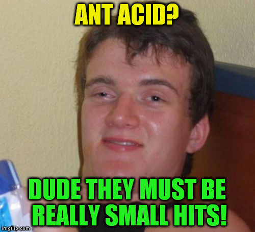 10 Guy Meme | ANT ACID? DUDE THEY MUST BE REALLY SMALL HITS! | image tagged in memes,10 guy | made w/ Imgflip meme maker