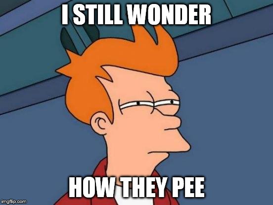 Futurama Fry Meme | I STILL WONDER HOW THEY PEE | image tagged in memes,futurama fry | made w/ Imgflip meme maker