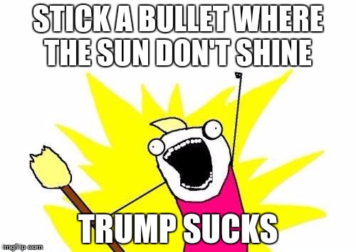 X All The Y | STICK A BULLET WHERE THE SUN DON'T SHINE; TRUMP SUCKS | image tagged in memes,x all the y | made w/ Imgflip meme maker