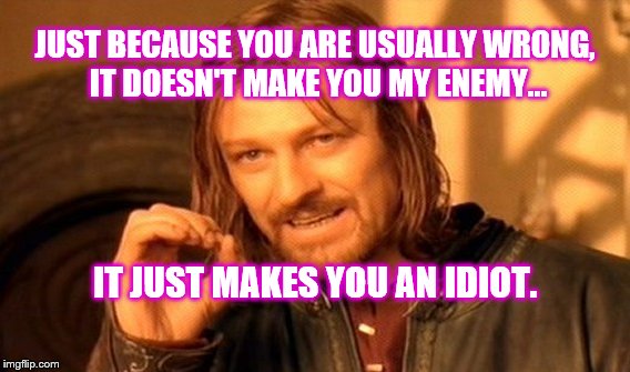 You are wrong and an idiot | JUST BECAUSE YOU ARE USUALLY WRONG, IT DOESN'T MAKE YOU MY ENEMY... IT JUST MAKES YOU AN IDIOT. | image tagged in memes,one does not simply,wrong,idiot | made w/ Imgflip meme maker