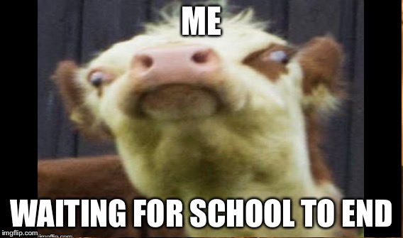 Rest. | ME; WAITING FOR SCHOOL TO END | image tagged in memes,funny,school,back to school,gifs,other | made w/ Imgflip meme maker