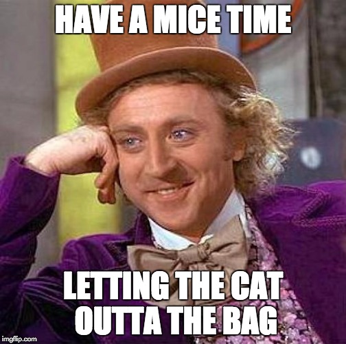 Creepy Condescending Wonka Meme | HAVE A MICE TIME LETTING THE CAT OUTTA THE BAG | image tagged in memes,creepy condescending wonka | made w/ Imgflip meme maker