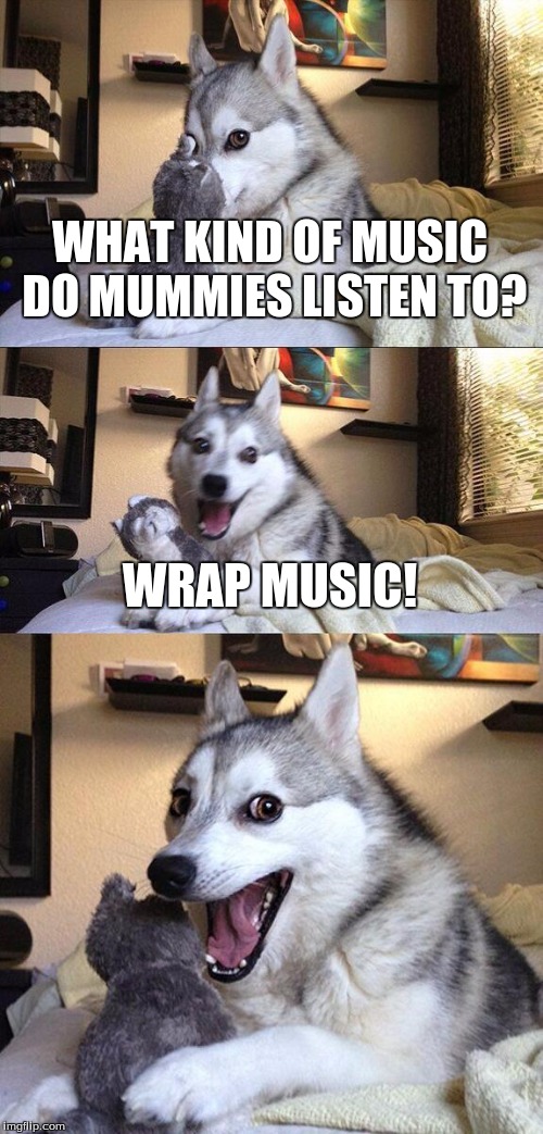 Wrap Music | WHAT KIND OF MUSIC DO MUMMIES LISTEN TO? WRAP MUSIC! | image tagged in memes,bad pun dog | made w/ Imgflip meme maker