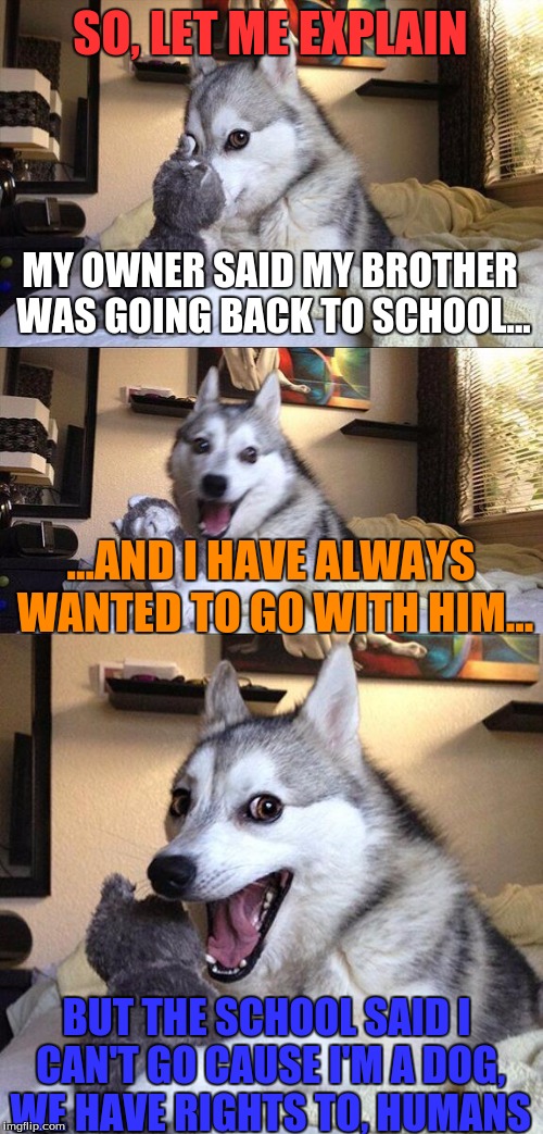 Bad Pun Dog Meme | SO, LET ME EXPLAIN; MY OWNER SAID MY BROTHER WAS GOING BACK TO SCHOOL... ...AND I HAVE ALWAYS WANTED TO GO WITH HIM... BUT THE SCHOOL SAID I CAN'T GO CAUSE I'M A DOG, WE HAVE RIGHTS TO, HUMANS | image tagged in memes,bad pun dog | made w/ Imgflip meme maker