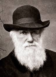 Charles Darwin Blank Meme Template