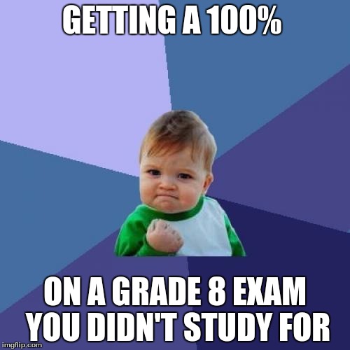 Success Kid | GETTING A 100%; ON A GRADE 8 EXAM YOU DIDN'T STUDY FOR | image tagged in memes,success kid | made w/ Imgflip meme maker