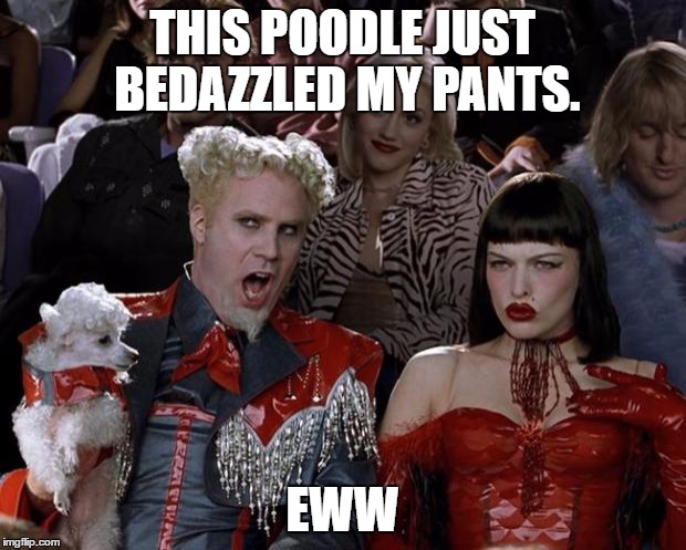Mugatu So Hot Right Now | THIS POODLE JUST BEDAZZLED MY PANTS. EWW | image tagged in memes,mugatu so hot right now | made w/ Imgflip meme maker