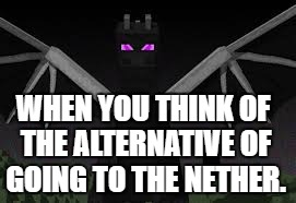 Ender dragon | WHEN YOU THINK OF THE ALTERNATIVE OF GOING TO THE NETHER. | image tagged in ender dragon | made w/ Imgflip meme maker