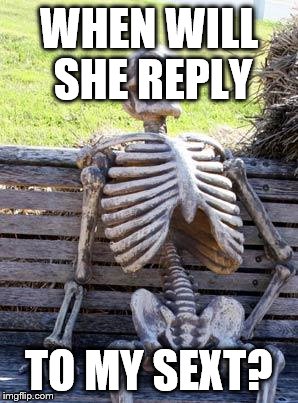 Waiting Skeleton Meme | WHEN WILL SHE REPLY; TO MY SEXT? | image tagged in memes,waiting skeleton | made w/ Imgflip meme maker