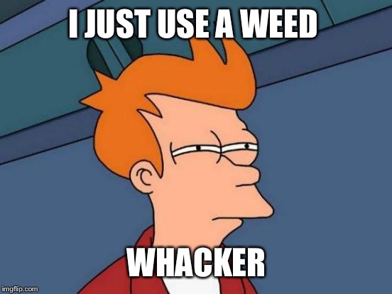 Futurama Fry Meme | I JUST USE A WEED WHACKER | image tagged in memes,futurama fry | made w/ Imgflip meme maker