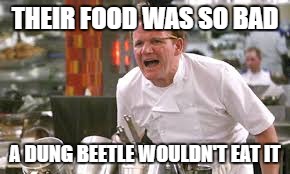 THEIR FOOD WAS SO BAD A DUNG BEETLE WOULDN'T EAT IT | made w/ Imgflip meme maker