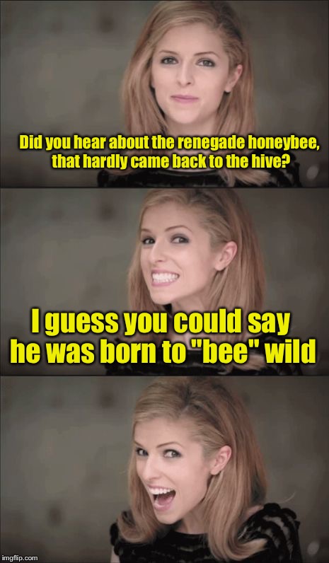 Bad Pun Anna Kendrick | Did you hear about the renegade honeybee, that hardly came back to the hive? I guess you could say he was born to "bee" wild | image tagged in memes,bad pun anna kendrick | made w/ Imgflip meme maker