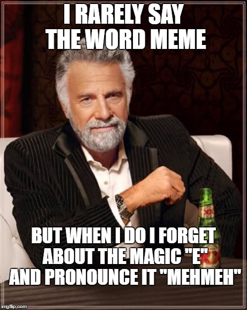The Most Interesting Man In The World Meme | I RARELY SAY THE WORD MEME; BUT WHEN I DO I FORGET ABOUT THE MAGIC "E" AND PRONOUNCE IT "MEHMEH" | image tagged in memes,the most interesting man in the world | made w/ Imgflip meme maker