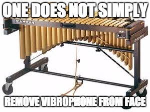 When my jazz teacher tells me to remove an instrument from our faces. | ONE DOES NOT SIMPLY; REMOVE VIBROPHONE FROM FACE | image tagged in jazz,band,solo | made w/ Imgflip meme maker