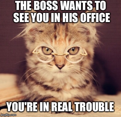 THE BOSS WANTS TO SEE YOU IN HIS OFFICE YOU'RE IN REAL TROUBLE | made w/ Imgflip meme maker