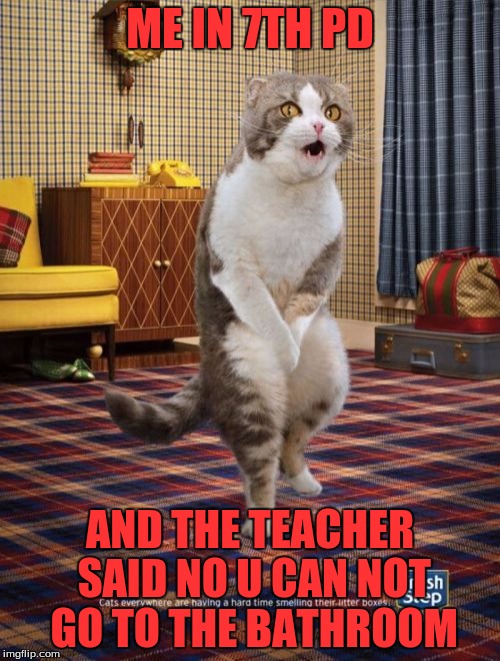 Gotta Go Cat Meme | ME IN 7TH PD; AND THE TEACHER SAID NO U CAN NOT GO TO THE BATHROOM | image tagged in memes,gotta go cat | made w/ Imgflip meme maker