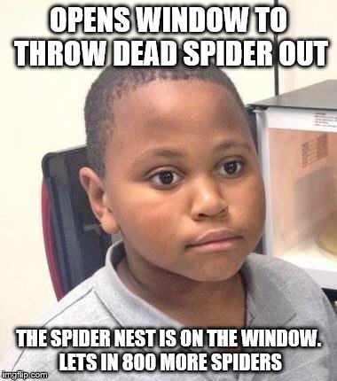 Minor Mistake Marvin | OPENS WINDOW TO THROW DEAD SPIDER OUT; THE SPIDER NEST IS ON THE WINDOW. LETS IN 800 MORE SPIDERS | image tagged in memes,minor mistake marvin | made w/ Imgflip meme maker