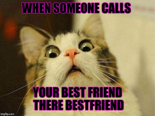 Scared Cat Meme | WHEN SOMEONE CALLS; YOUR BEST FRIEND THERE BESTFRIEND | image tagged in memes,scared cat | made w/ Imgflip meme maker