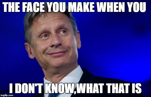 THE FACE YOU MAKE WHEN YOU; I DON'T KNOW,WHAT THAT IS | image tagged in gary johnson at 10 | made w/ Imgflip meme maker