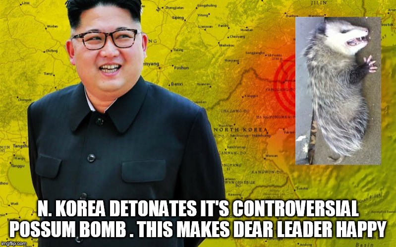 KIM JUNG UN IS NUTS | N. KOREA DETONATES IT'S CONTROVERSIAL POSSUM BOMB . THIS MAKES DEAR LEADER HAPPY | image tagged in north korea,kim jong un,possum,funny memes | made w/ Imgflip meme maker