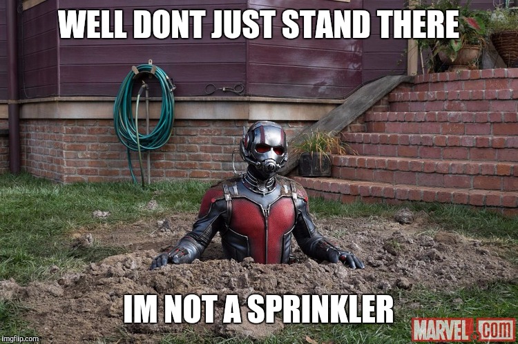 Antman steel | WELL DONT JUST STAND THERE; IM NOT A SPRINKLER | image tagged in antman steel | made w/ Imgflip meme maker