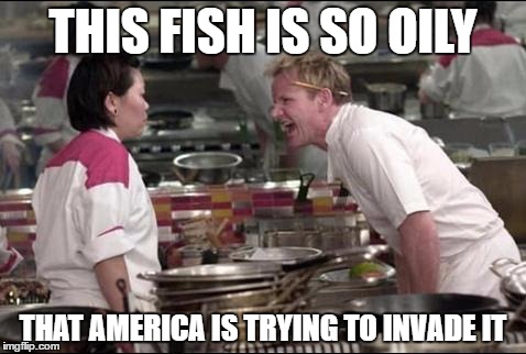 Angry Chef Gordon Ramsay Meme | THIS FISH IS SO OILY; THAT AMERICA IS TRYING TO INVADE IT | image tagged in memes,angry chef gordon ramsay | made w/ Imgflip meme maker