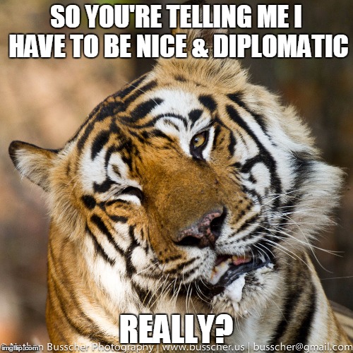 Pervy Tiger  | SO YOU'RE TELLING ME I HAVE TO BE NICE & DIPLOMATIC; REALLY? | image tagged in pervy tiger | made w/ Imgflip meme maker