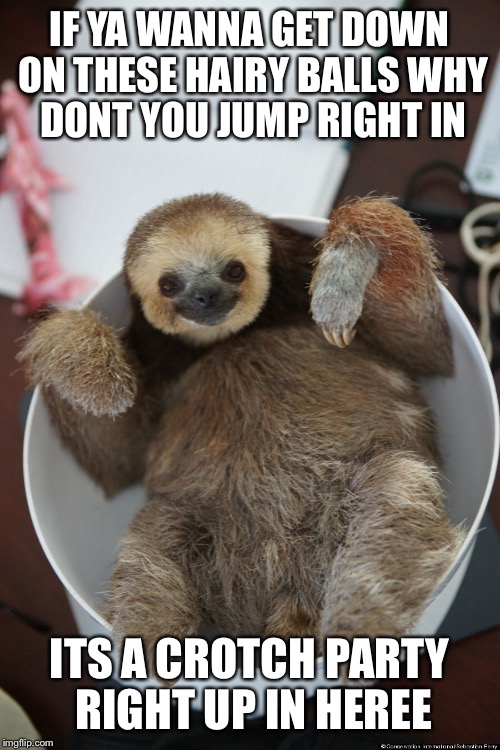 IF YA WANNA GET DOWN ON THESE HAIRY BALLS
WHY DONT YOU JUMP RIGHT IN; ITS A CROTCH PARTY RIGHT UP IN HEREE | image tagged in sloth,stepbrothers | made w/ Imgflip meme maker