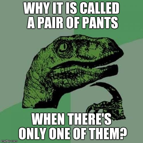 Philosoraptor | WHY IT IS CALLED A PAIR OF PANTS; WHEN THERE'S ONLY ONE OF THEM? | image tagged in memes,philosoraptor | made w/ Imgflip meme maker