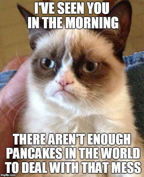 Grumpy Cat Meme | I'VE SEEN YOU IN THE MORNING THERE AREN'T ENOUGH PANCAKES IN THE WORLD TO DEAL WITH THAT MESS | image tagged in memes,grumpy cat | made w/ Imgflip meme maker