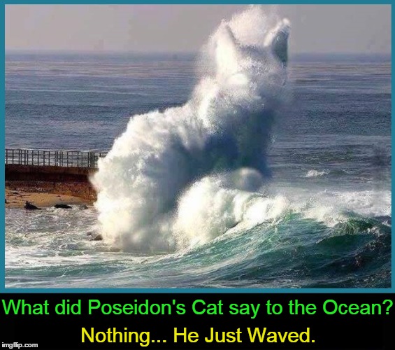 Poseidon's Cat | What did Poseidon's Cat say to the Ocean? Nothing... He Just Waved. | image tagged in funny cat memes,vince vance,wave shaped like a cat,the mysteries of the sea | made w/ Imgflip meme maker