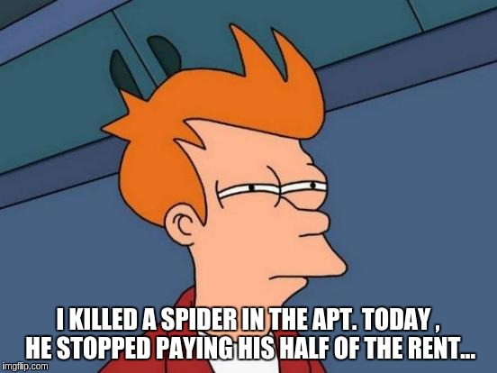 Futurama Fry | I KILLED A SPIDER IN THE APT. TODAY ,  HE STOPPED PAYING HIS HALF OF THE RENT... | image tagged in memes,futurama fry | made w/ Imgflip meme maker