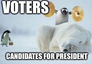 The danger of voting  | VOTERS; CANDIDATES FOR PRESIDENT | image tagged in penguin with cymbals,election 2016,2016 election | made w/ Imgflip meme maker