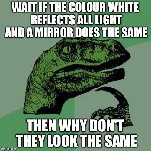 Think about it | WAIT IF THE COLOUR WHITE REFLECTS ALL LIGHT AND A MIRROR DOES THE SAME; THEN WHY DON'T THEY LOOK THE SAME | image tagged in memes,philosoraptor | made w/ Imgflip meme maker