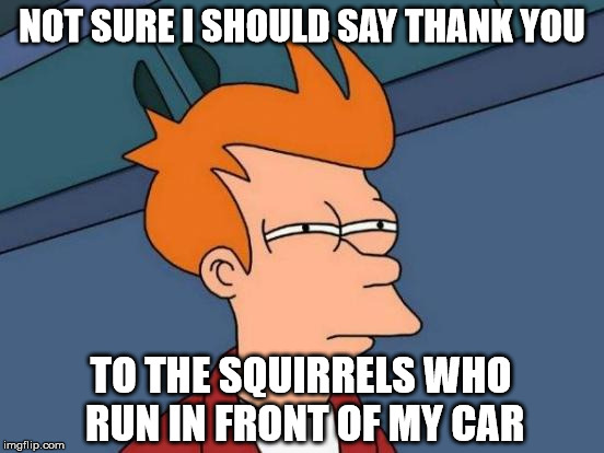 Futurama Fry Meme | NOT SURE I SHOULD SAY THANK YOU TO THE SQUIRRELS WHO RUN IN FRONT OF MY CAR | image tagged in memes,futurama fry | made w/ Imgflip meme maker