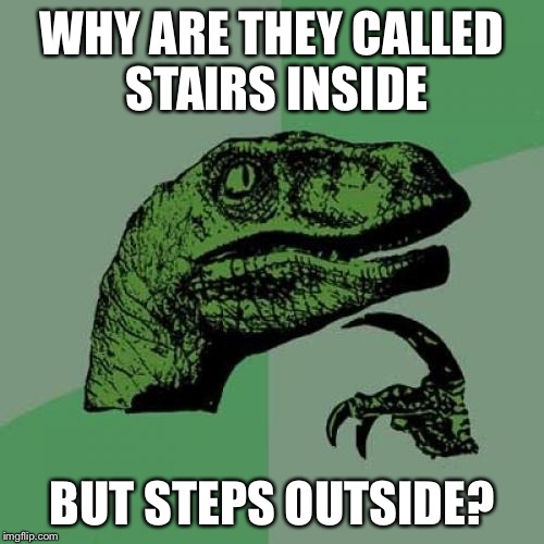 Philosoraptor Meme | WHY ARE THEY CALLED STAIRS INSIDE; BUT STEPS OUTSIDE? | image tagged in memes,philosoraptor | made w/ Imgflip meme maker