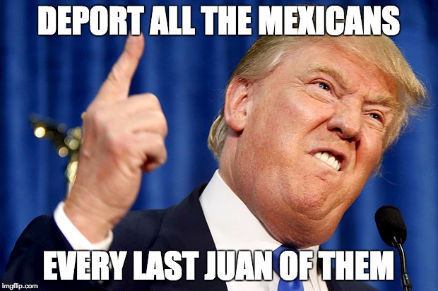 Why Donald Trump is clearly the wrong choice | DEPORT ALL THE MEXICANS; EVERY LAST JUAN OF THEM | image tagged in donald trump | made w/ Imgflip meme maker