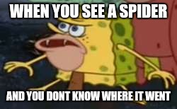 Spongegar Meme | WHEN YOU SEE A SPIDER; AND YOU DONT KNOW WHERE IT WENT | image tagged in memes,spongegar | made w/ Imgflip meme maker