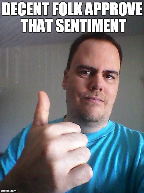 Thumbs up | DECENT FOLK APPROVE THAT SENTIMENT | image tagged in thumbs up | made w/ Imgflip meme maker